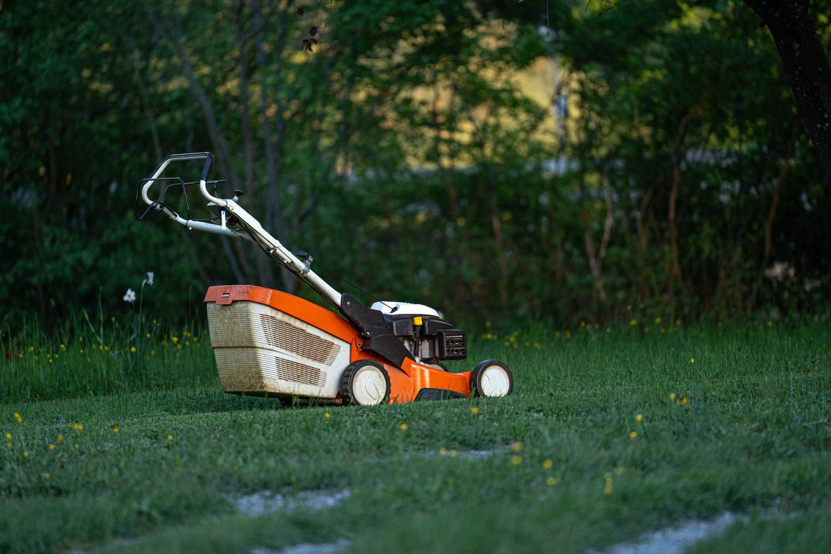 Lawn mower on a green backyard lawn